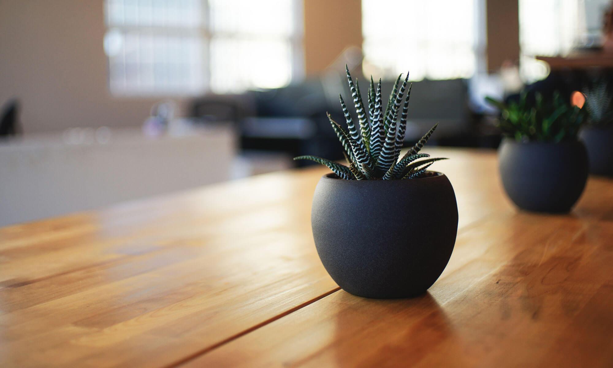 bHome Decor